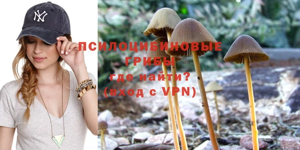 кокс Алзамай